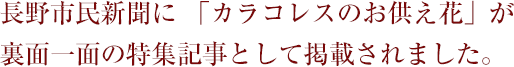 長野市民新聞に 「カラコレスのお供え花」が裏面一面の特集記事として掲載されました。